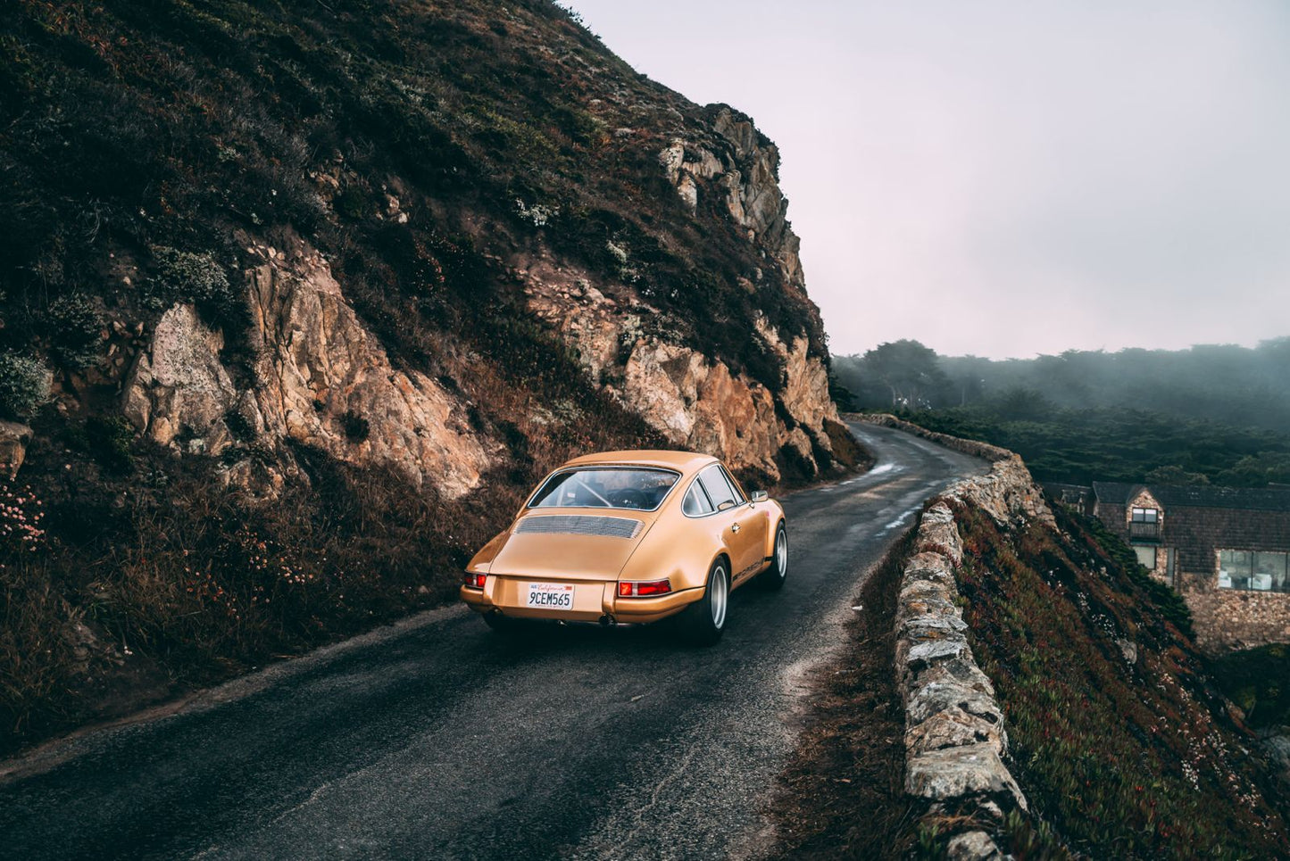 Carbon Rear Quarter Panel - Right
