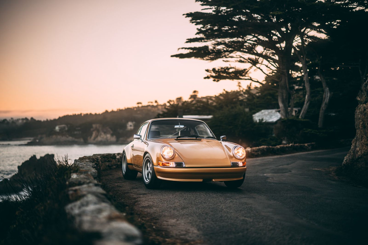 Carbon Front Wing - Left